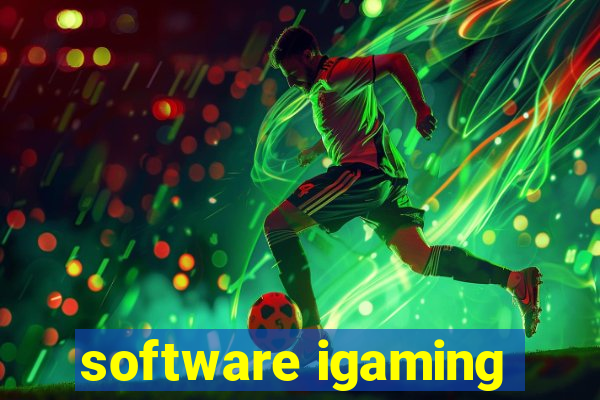 software igaming