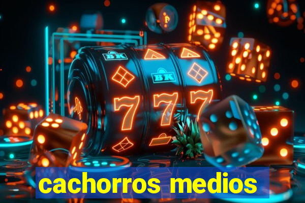 cachorros medios