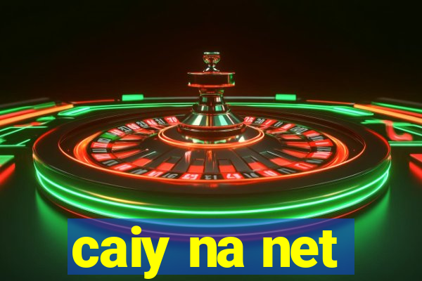 caiy na net