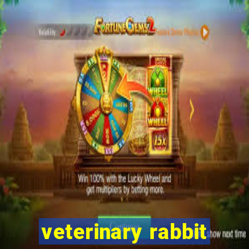 veterinary rabbit