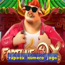 raposa numero jogo do bicho