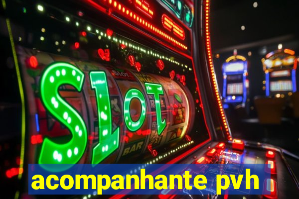 acompanhante pvh