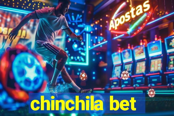 chinchila bet