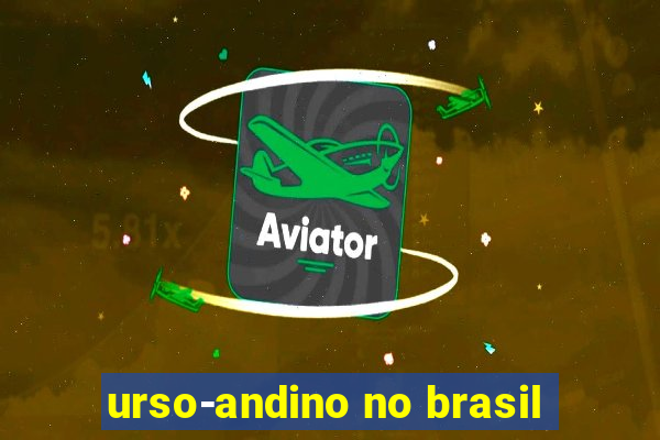 urso-andino no brasil