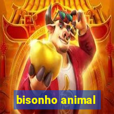 bisonho animal