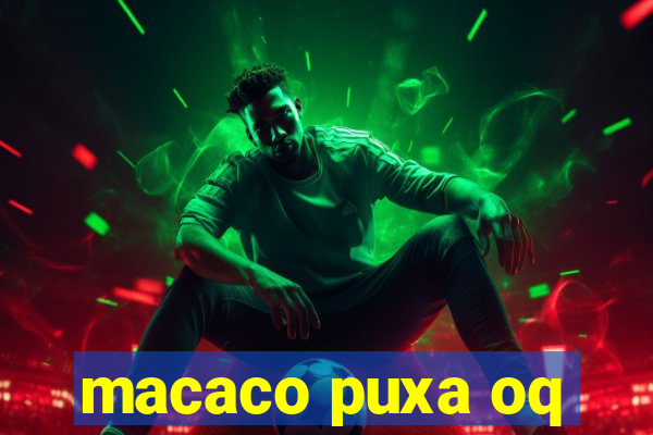 macaco puxa oq