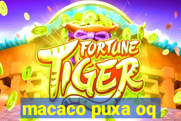 macaco puxa oq