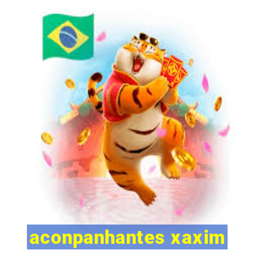 aconpanhantes xaxim