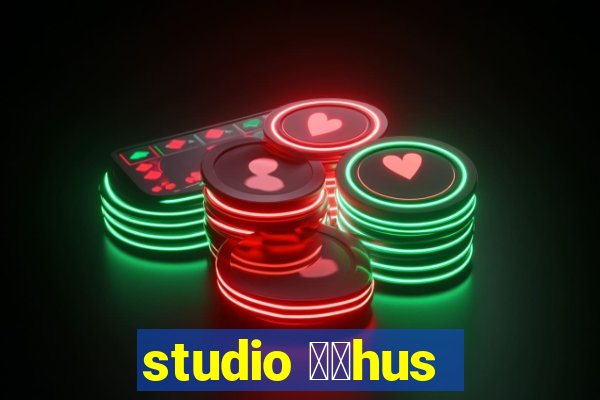 studio 姘搑hus