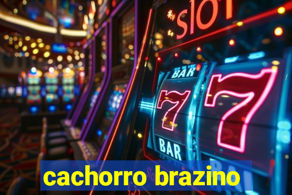 cachorro brazino