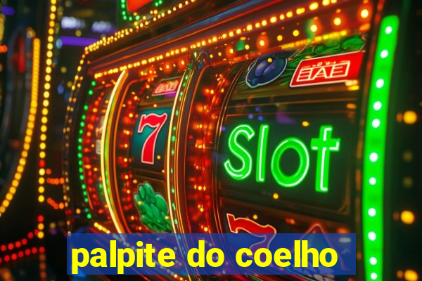 palpite do coelho