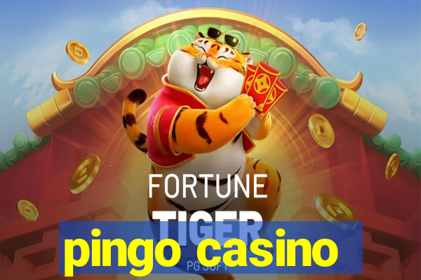 pingo casino