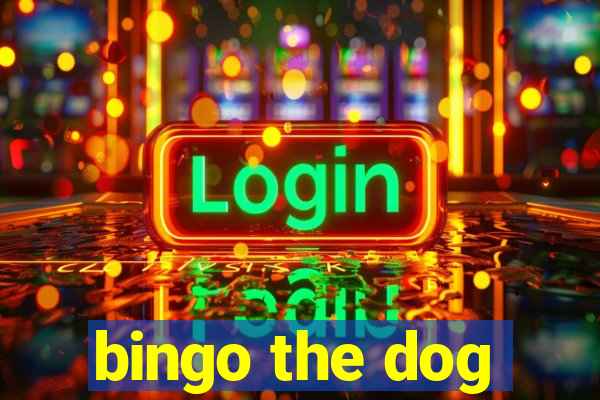 bingo the dog