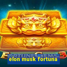 elon musk fortuna