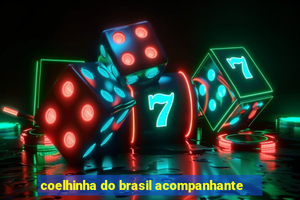 coelhinha do brasil acompanhante