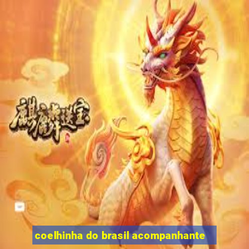 coelhinha do brasil acompanhante