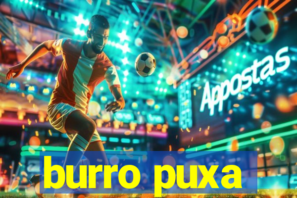 burro puxa