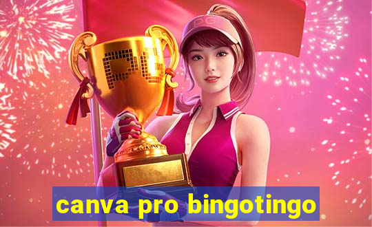 canva pro bingotingo