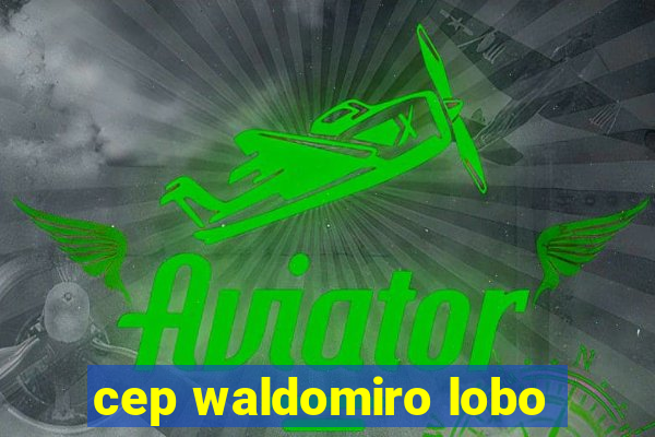 cep waldomiro lobo