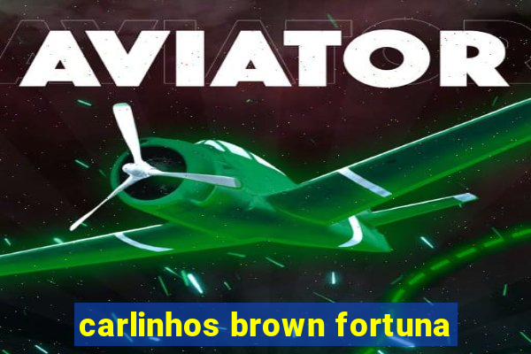 carlinhos brown fortuna