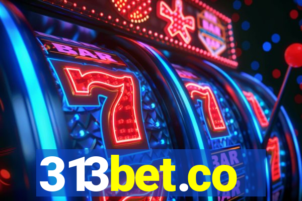 313bet.co