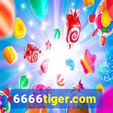 6666tiger.com