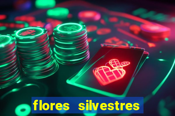 flores silvestres desbravadores desbravadores 25