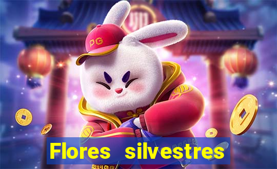 Flores silvestres brasileiras brasileiras flores silvestres nomes e imagens