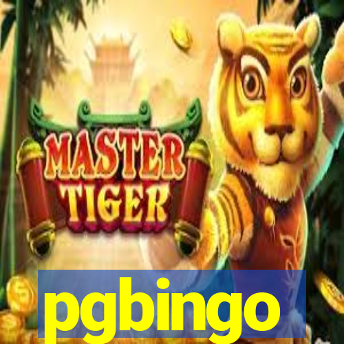 pgbingo