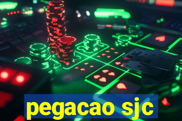 pegacao sjc