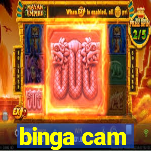 binga cam