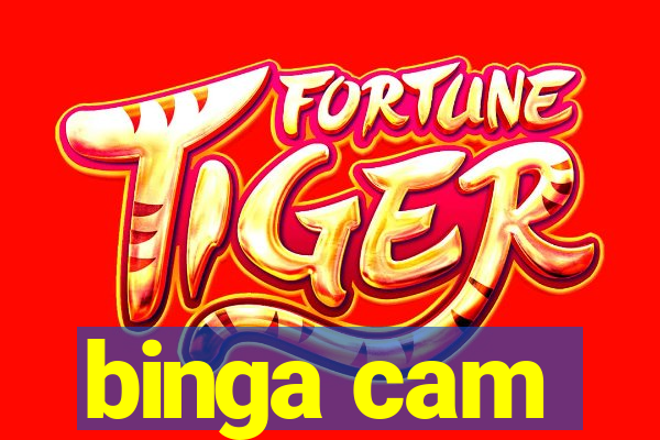 binga cam