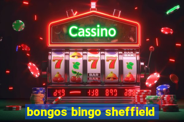 bongos bingo sheffield