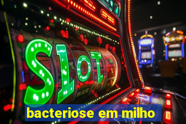 bacteriose em milho