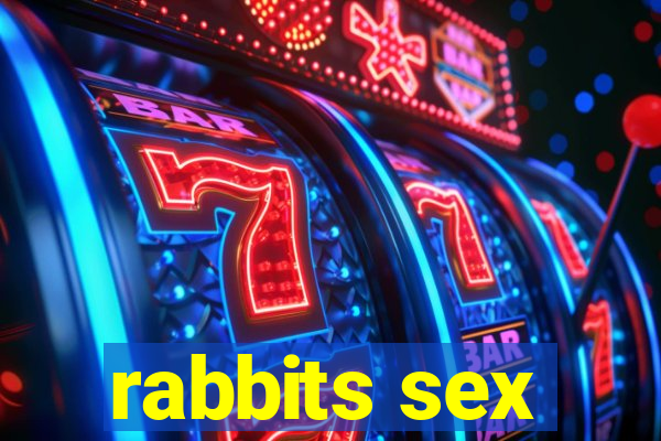 rabbits sex