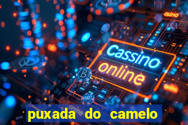 puxada do camelo no jogo do bicho