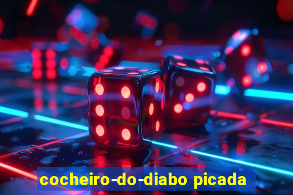 cocheiro-do-diabo picada