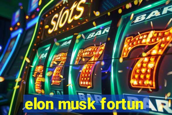 elon musk fortun