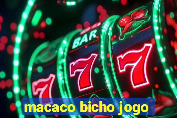 macaco bicho jogo