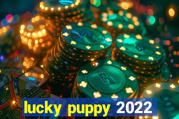 lucky puppy 2022