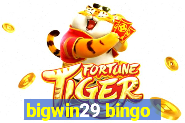 bigwin29 bingo