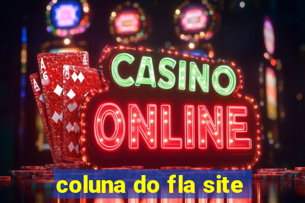 coluna do fla site