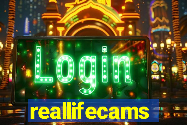 reallifecams