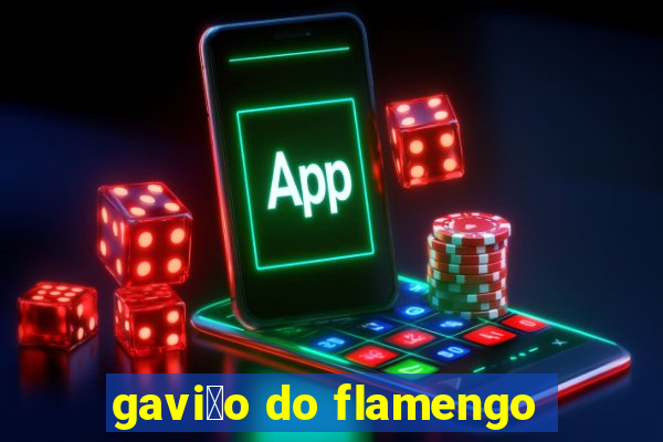 gavi茫o do flamengo