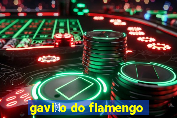 gavi茫o do flamengo