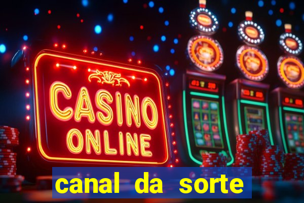 canal da sorte bingo de hoje