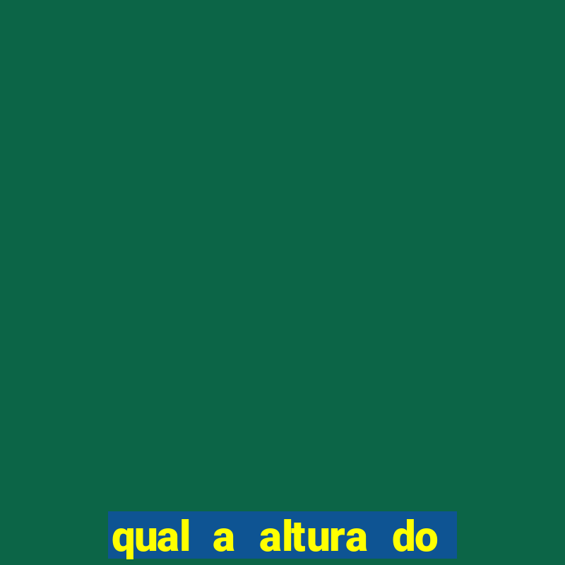 qual a altura do silvio santos