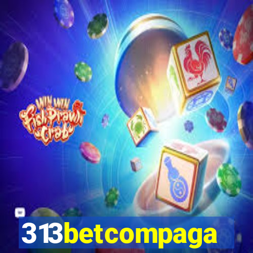 313betcompaga