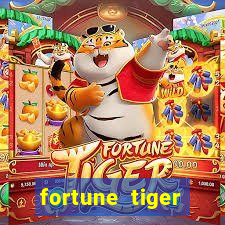 fortune tiger grande ganho