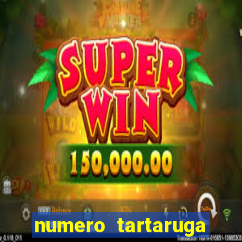 numero tartaruga jogo do bicho